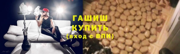 стаф Абаза