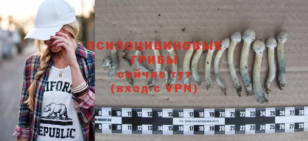 стаф Абаза