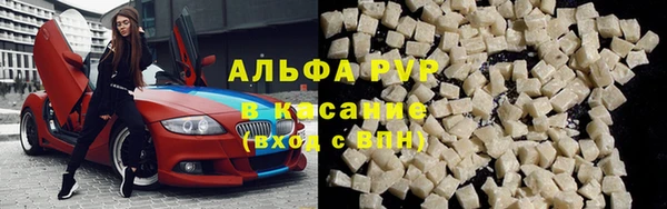 стаф Абаза