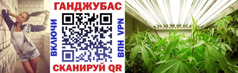 МАРИХУАНА ГИДРОПОН  Елизаветинская 